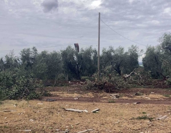 I danni del maltempo nella Tuscia
