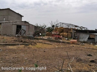 Maltempo - Tromba d'aria nella zona nord di Viterbo
