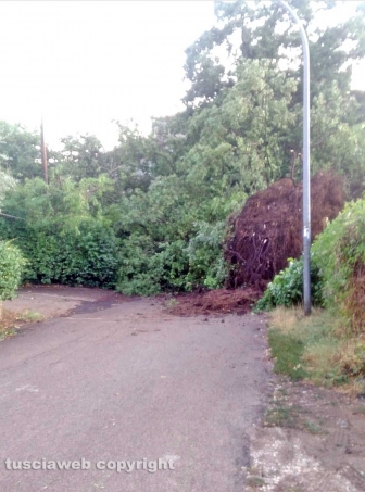 Maltempo, tromba d'aria e temporali sulla Tuscia
