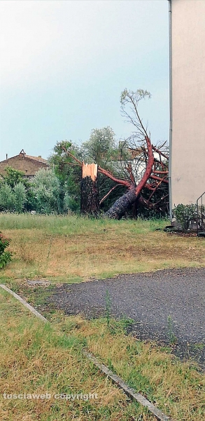 Maltempo, tromba d'aria e temporali sulla Tuscia