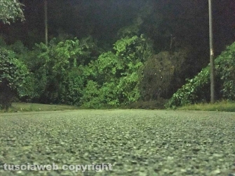 Graffignano - Via Fontanelle bloccata dagli alberi caduti
