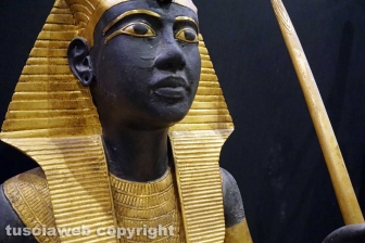 Tutankhamon a Palazzo dei Papi
