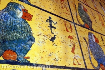 Tutankhamon a Palazzo dei Papi