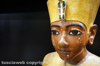 Tutankhamon a Palazzo dei Papi