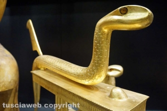 Tutankhamon a Palazzo dei Papi
