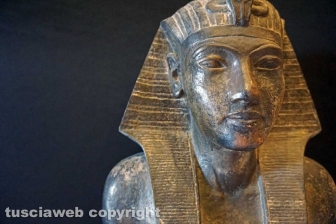 Tutankhamon a Palazzo dei Papi