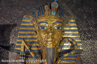 Tutankhamon a Palazzo dei Papi