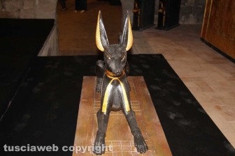 Viterbo - Tutankhamon, parte la mostra