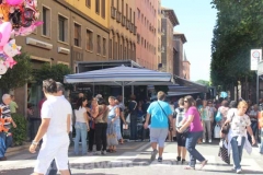 La fiera di Santa Rosa