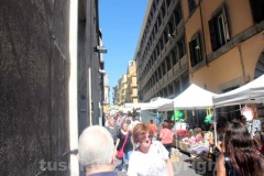 La fiera di Santa Rosa