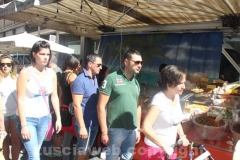 La fiera di Santa Rosa