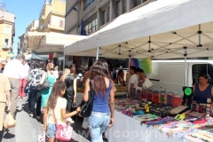 La fiera di Santa Rosa