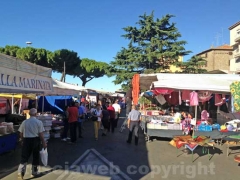 La fiera di santa Rosa