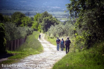 Via Francigena