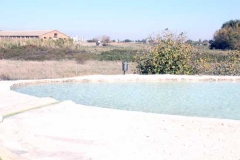 171-Risistemato il Bulicame