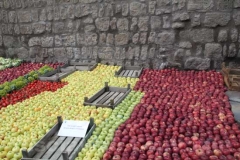 43-San Pellegrino in fiore tra le polemiche