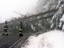 Neve - Un albero crollato sulla Cimina