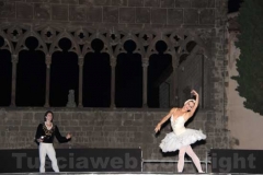 Un Lago dei cigni splendente - Balletto di San Pietroburgo