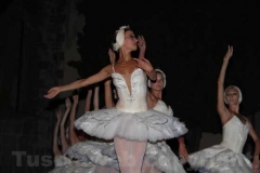 Un Lago dei cigni splendente - Balletto di San Pietroburgo