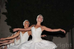 Un Lago dei cigni splendente - Balletto di San Pietroburgo