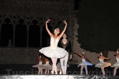 Un Lago dei cigni splendente - Balletto di San Pietroburgo