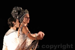 Un Lago dei cigni splendente - Balletto di San Pietroburgo