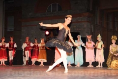 Un Lago dei cigni splendente - Balletto di San Pietroburgo