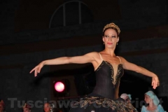 Un Lago dei cigni splendente - Balletto di San Pietroburgo