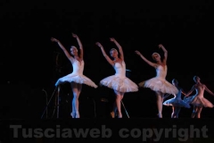 Un Lago dei cigni splendente - Balletto di San Pietroburgo