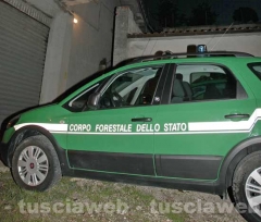 Forestale - Operazione Genio e sregolatezza