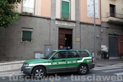 Forestale - Operazione Genio e sregolatezza