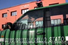 Forestale - Operazione Genio e sregolatezza