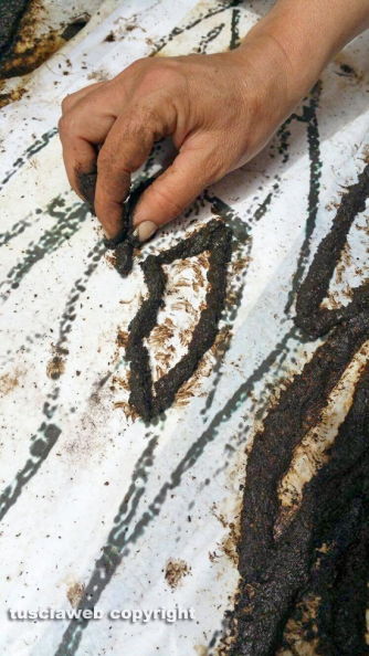 Processione Corpus Domini - Un tappeto di fiori ricopre Bolsena