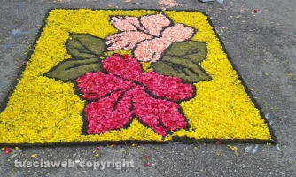 Processione Corpus Domini - Un tappeto di fiori ricopre Bolsena