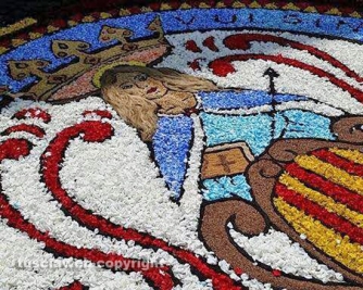 Processione Corpus Domini - Un tappeto di fiori ricopre Bolsena