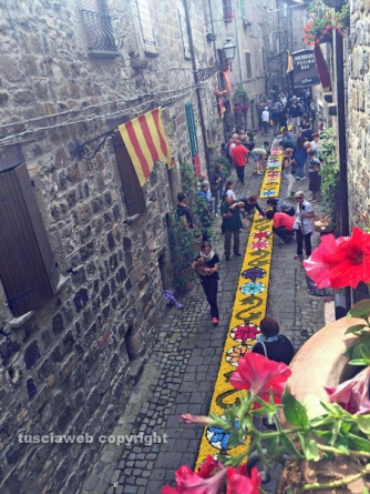 Processione Corpus Domini - Un tappeto di fiori ricopre Bolsena