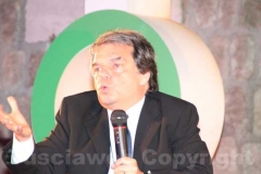 Brunetta a Medioera
