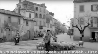 Un vigile in città