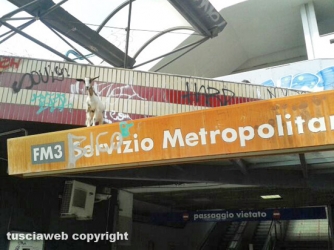 Una capretta bloccata sul tetto della stazione