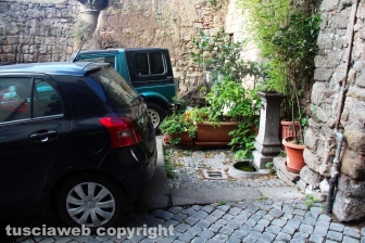 Una discarica in centro