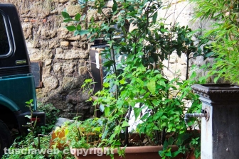 Una discarica in centro