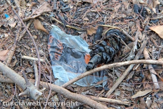 Una discarica in strada Bagni