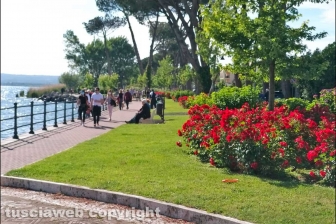 Fase 3 - La domenica a Bolsena