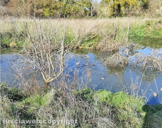 Una fogna a cielo aperto