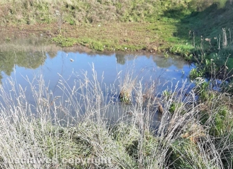 Una fogna a cielo aperto