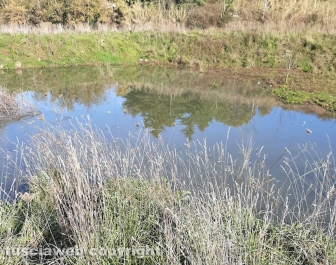 Una fogna a cielo aperto