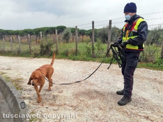 Unità cinofile
