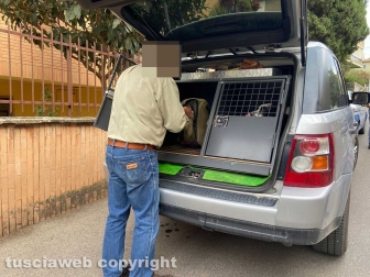 Viterbo - Uomo precipitato in via del Carnaro - Il veterinario che si è occupato dello yorkshire