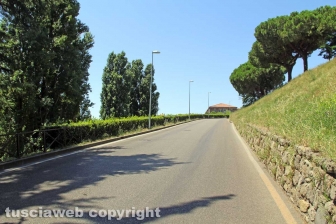 Valle Faul