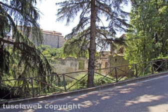 Valle Faul